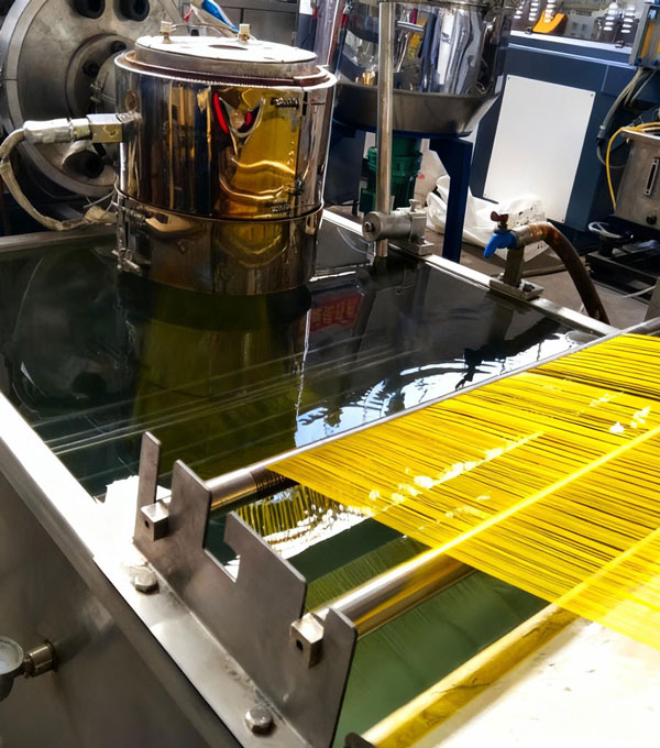 HOW WE CAN HELP YOU?