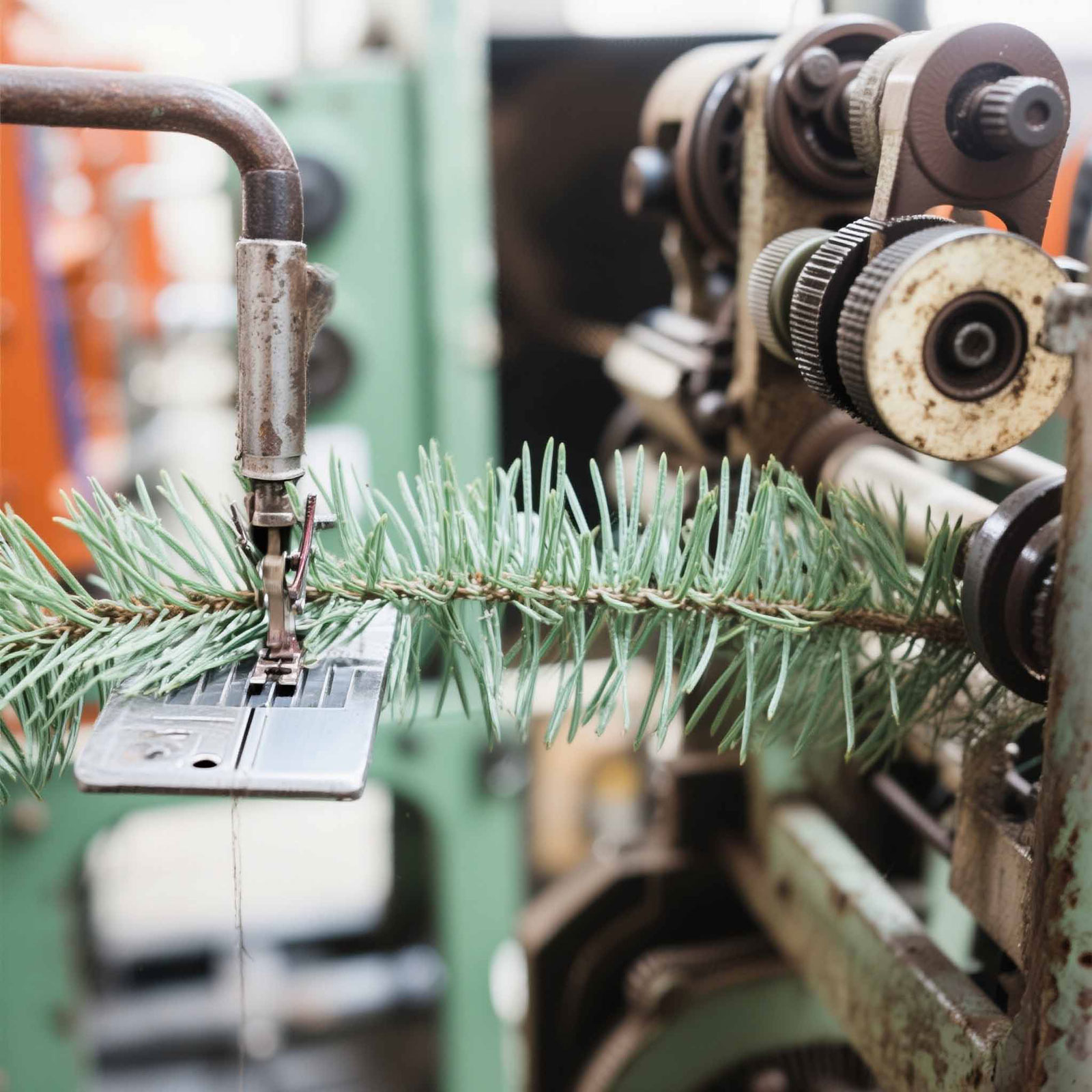 Simulated Plant Maker - Pine Needle Tree