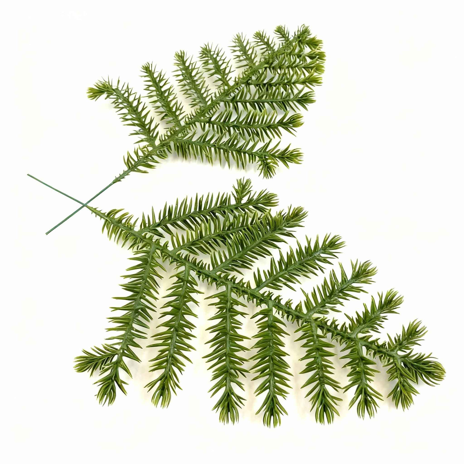 Simulated Plant Maker - Pine Needle Tree